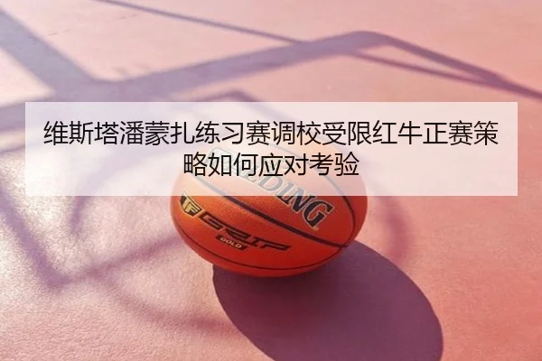 维斯塔潘蒙扎练习赛调校受限红牛正赛策略如何应对考验